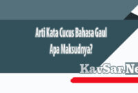 Arti Kata Cucus Bahasa Gaul Apa Maksudnya