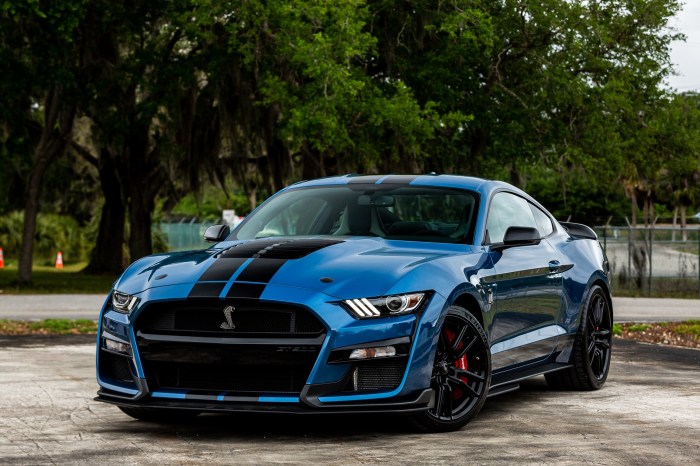 Ford Mustang Shelby GT500 price