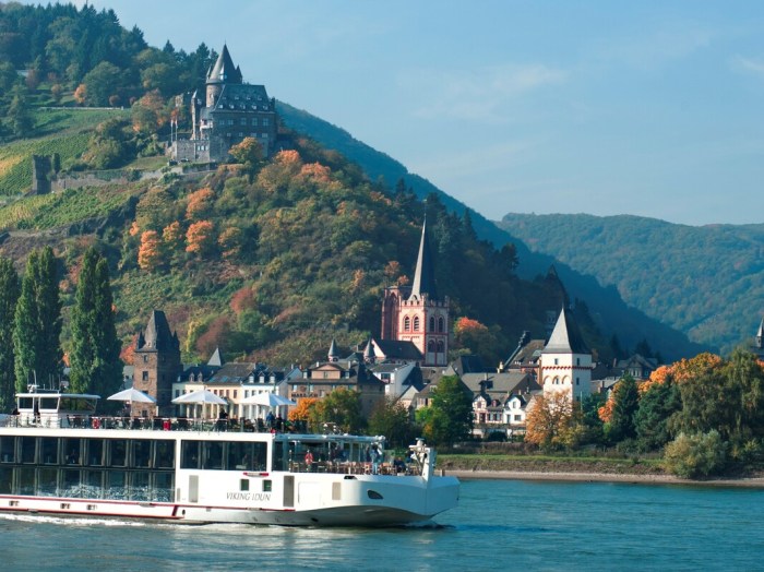 Rhine